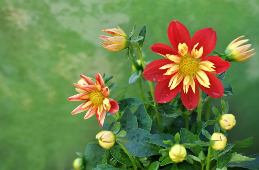 779943 (a): :2500x1642